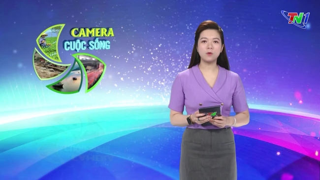 Bản tin Camera cuộc sống ngày 25/10/2024