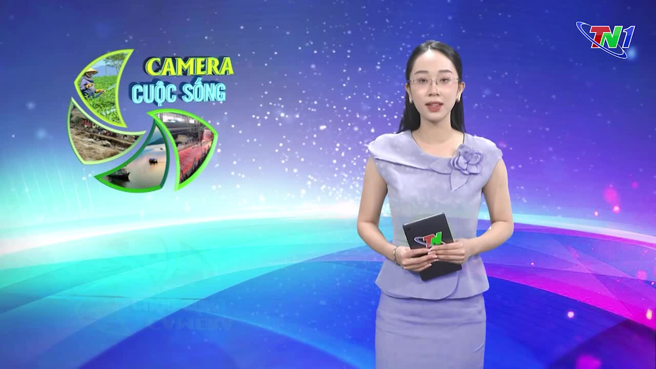 Bản tin Camera cuộc sống ngày 26/10/2024