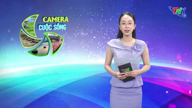 Bản tin Camera cuộc sống ngày 26/10/2024