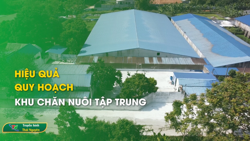 Hiệu quả quy hoạch khu chăn nuôi tập trung – Hộp thư truyền hình