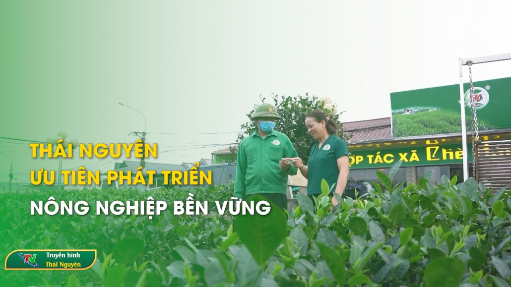 Thái Nguyên ưu tiên phát triển nông nghiệp bền vững – Chính sách cuộc sống