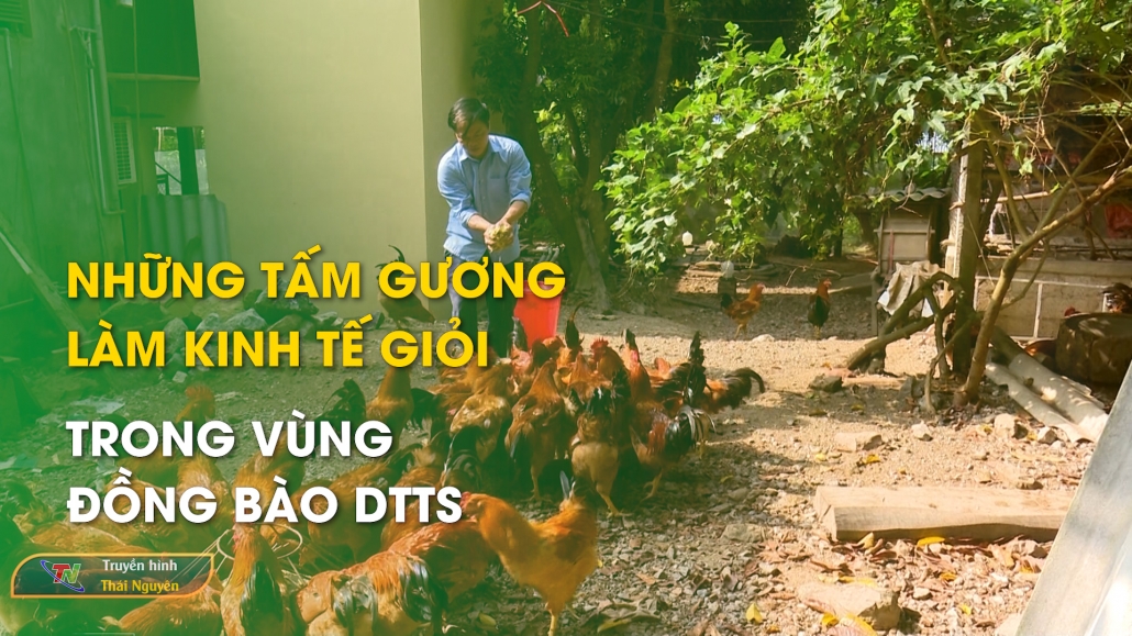 Những tấm gương làm kinh tế giỏi trong vùng đồng bào DTTS