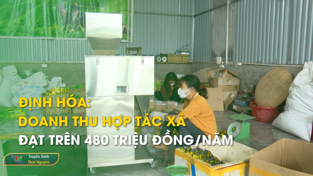 Định Hóa: Doanh thu hợp tác xã đạt trên 480 triệu đồng/năm