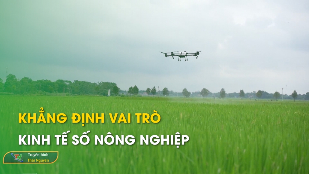 Khẳng định vai trò kinh tế số nông nghiệp