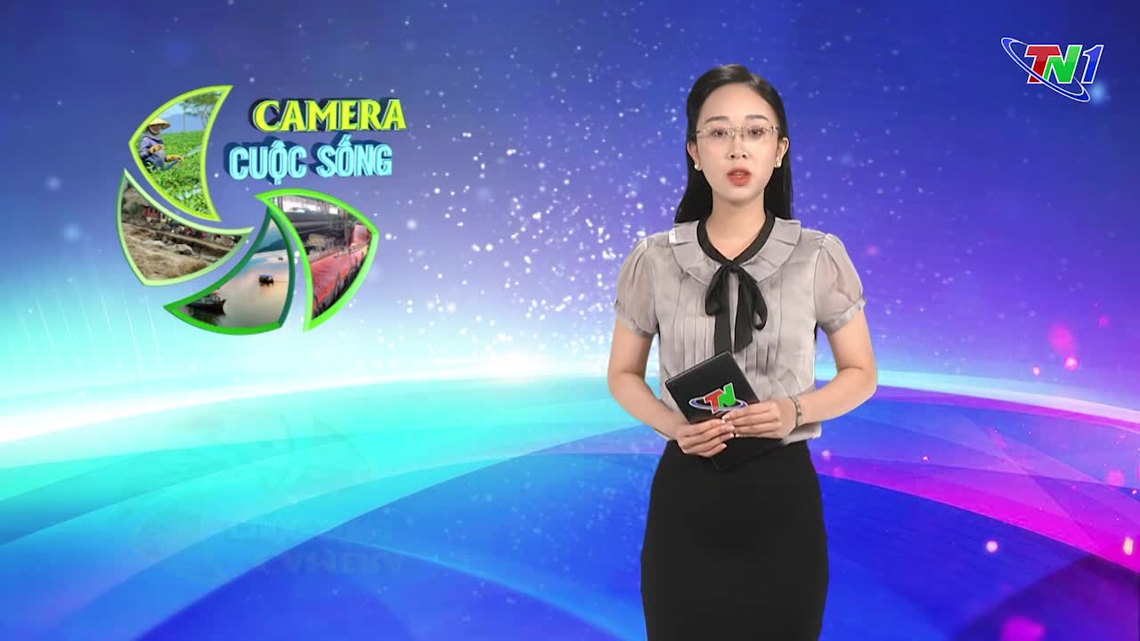 Bản tin Camera cuộc sống ngày 3/11/2024