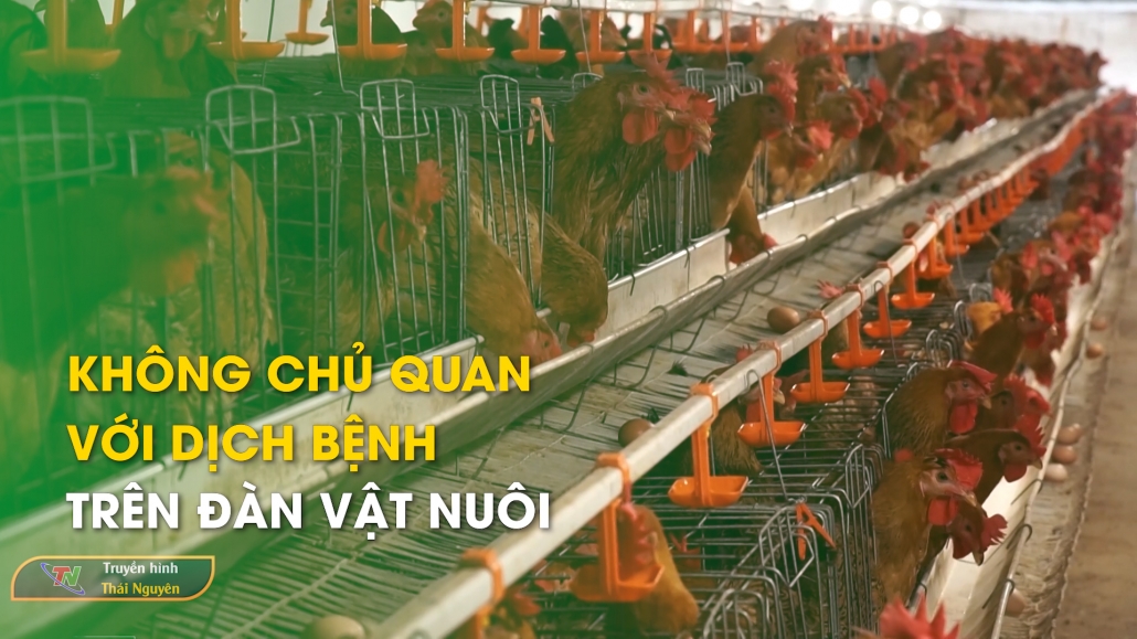 Không chủ quan với dịch bệnh trên đàn vật nuôi