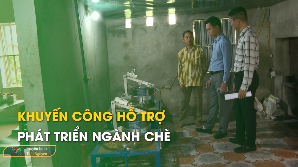 Khuyến công hỗ trợ phát triển ngành chè