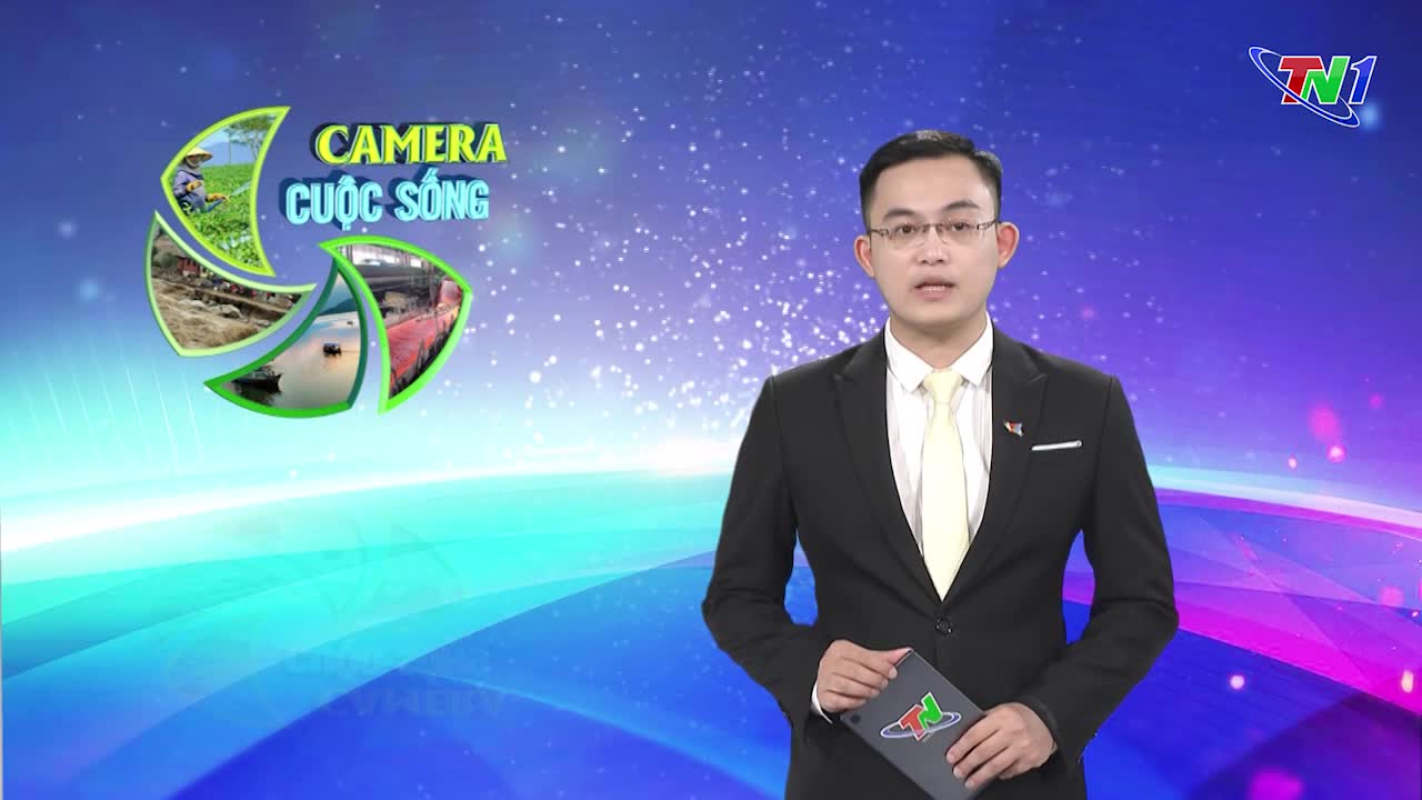 Bản tin Camera cuộc sống ngày 04/11/2024