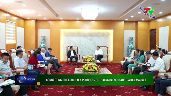 Connecting to export key products of Thai Nguyen to Australian market