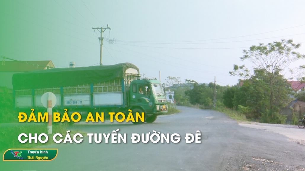 Đảm bảo an toàn cho các tuyến đường đê