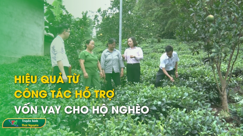 Hiệu quả từ công tác hỗ trợ vốn vay cho hộ nghèo – Truyền hình Đại Từ