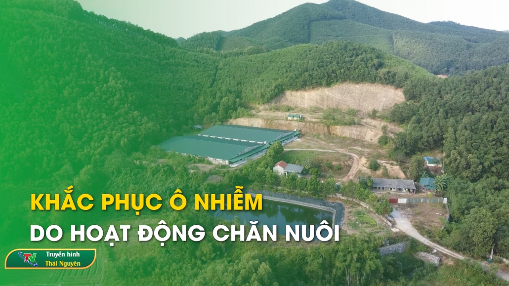 Khắc phục ô nhiễm do hoạt động chăn nuôi – Môi trường xanh