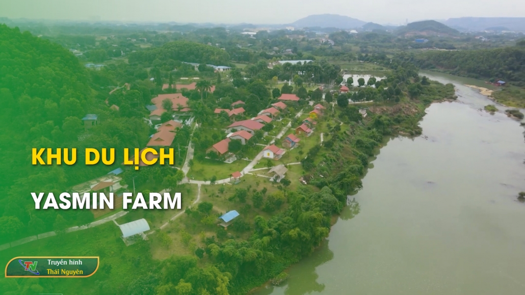 Khu du lịch Yasmin Farm - Trải nghiệm xứ Trà – Đậm đà bản sắc 11/10/2024