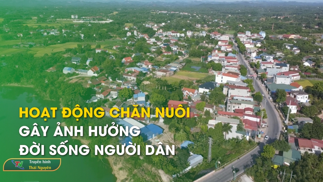 Hoạt động chăn nuôi gây ảnh hưởng đời sống người dân – Hộp thư truyền hình