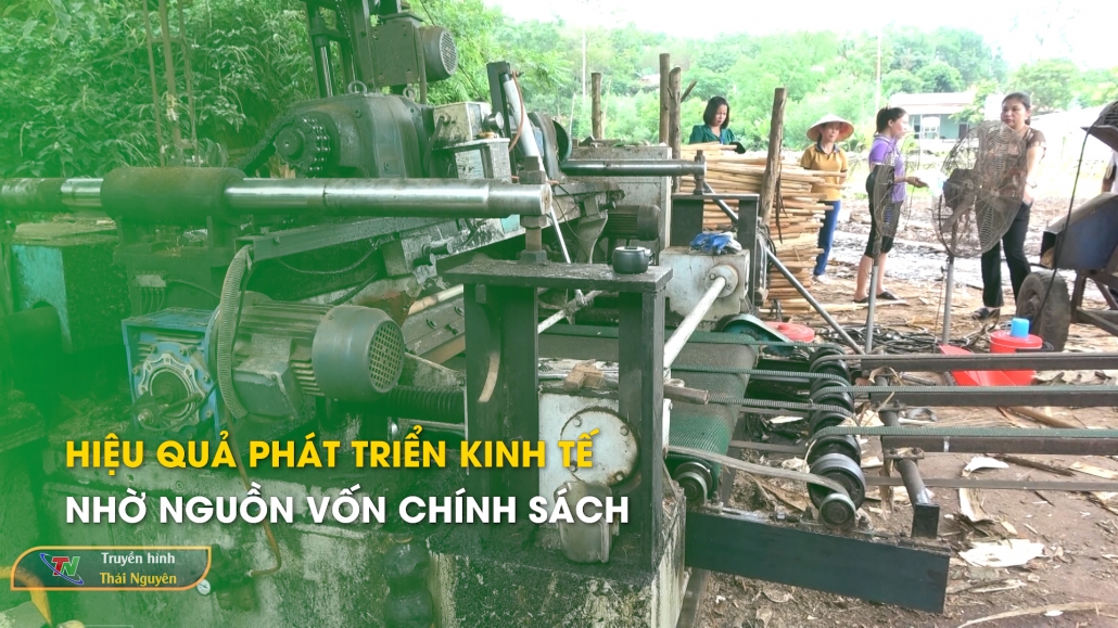 Hiệu quả phát triển kinh tế nhờ nguồn vốn chính sách – Chính sách & cuộc sống