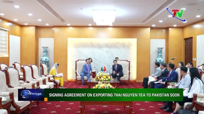 Signing agreement on exporting Thai Nguyen tea to Pakistan soon