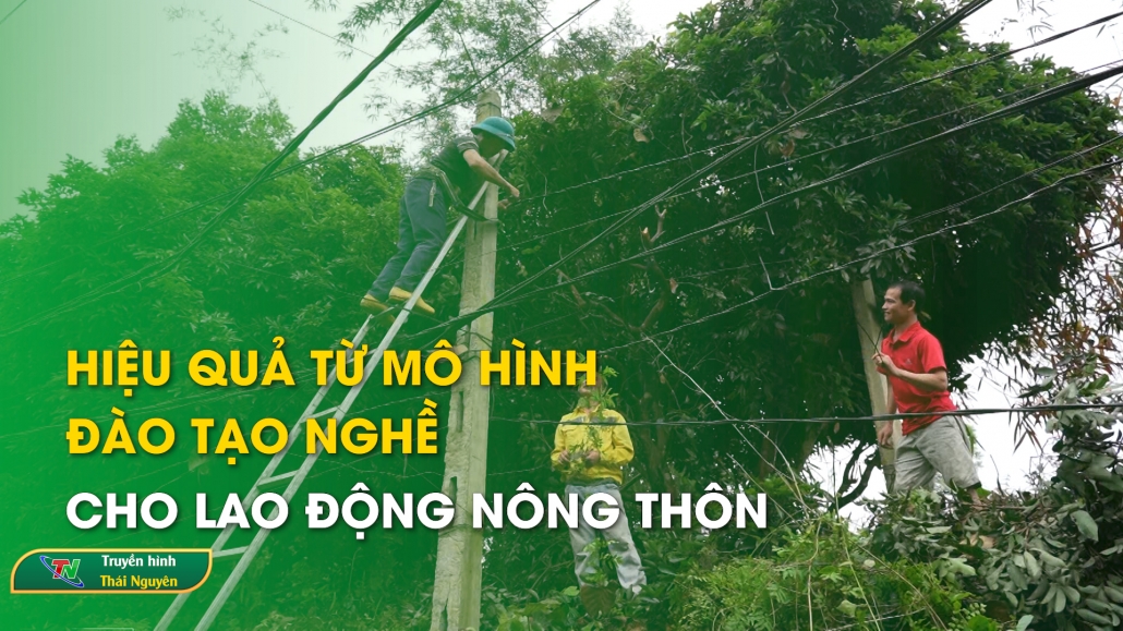 Hiệu quả từ mô hình đào tạo nghề cho lao động nông thôn