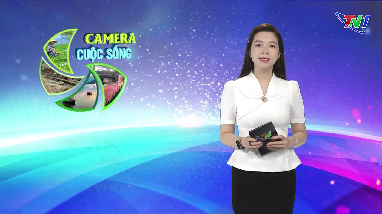 Bản tin Camera cuộc sống ngày 19/11/2024