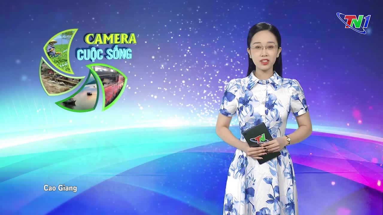 Bản tin Camera cuộc sống ngày 20/11/2024