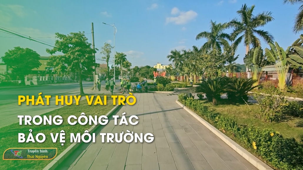 Phát huy vai trò trong công tác bảo vệ môi trường – Môi trường xanh