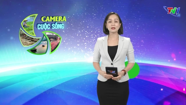 Bản tin Camera cuộc sống ngày 22/11/2024