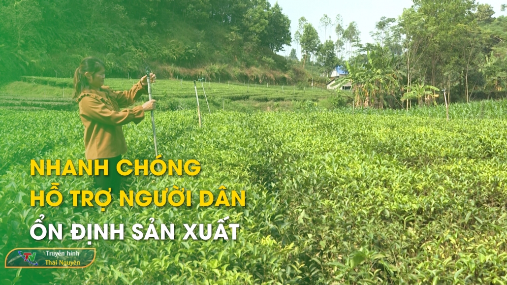 Nhanh chóng hỗ trợ người dân ổn định sản xuất