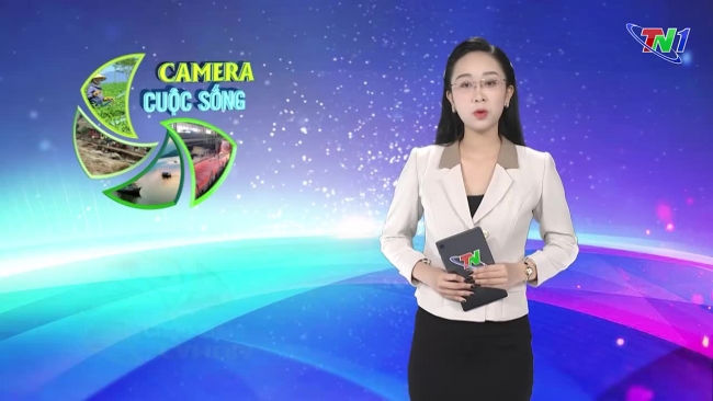 Bản tin Camera cuộc sống ngày 23/11/2024