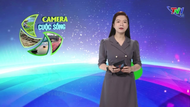 Bản tin Camera cuộc sống ngày 24/11/2024