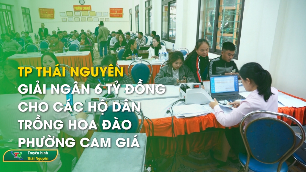 TP Thái Nguyên: Giải ngân 6 tỷ đồng cho các hộ dân trồng hoa đào Phường Cam Giá