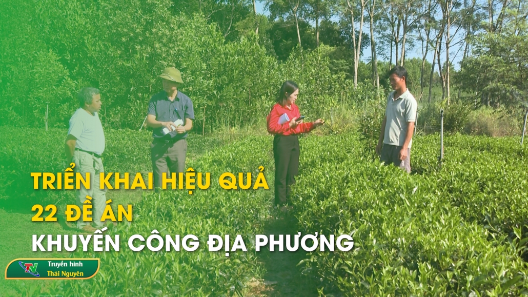 Triển khai hiệu quả 22 đề án khuyến công địa phương