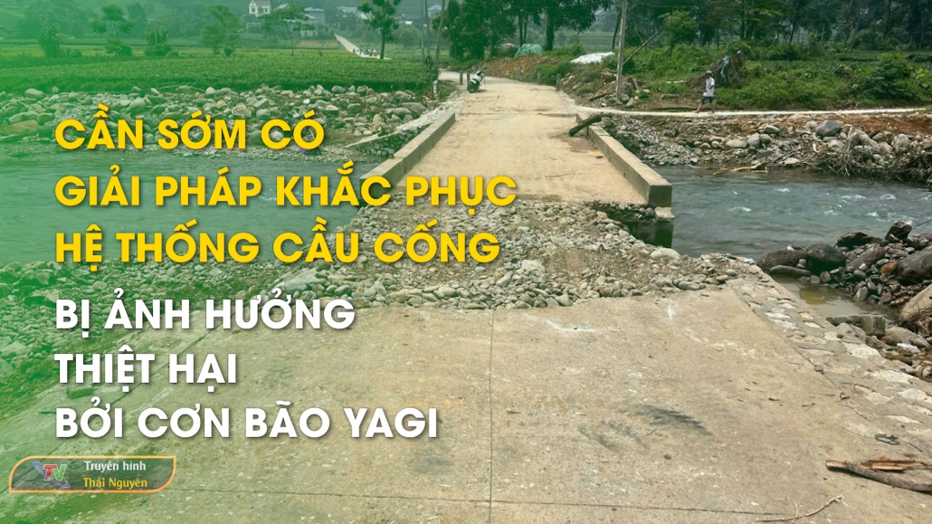 Cần sớm có giải pháp khắc phục hệ thống cầu cống bị ảnh hưởng thiệt hại bởi cơn bão YAGI – An toàn giao thông 29/11/2024