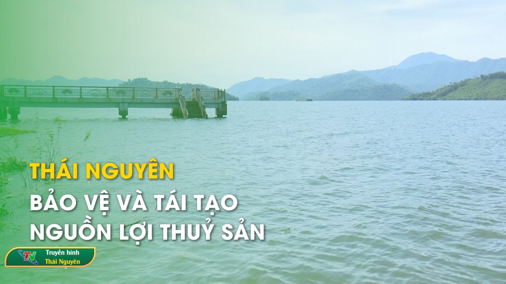 Thái Nguyên: Bảo vệ và tái tạo nguồn lợi thuỷ sản