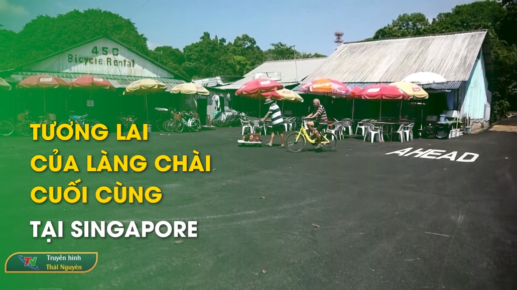 Tương lai của làng chài cuối cùng tại Singapore - Cộng đồng Asean 3/12/2024