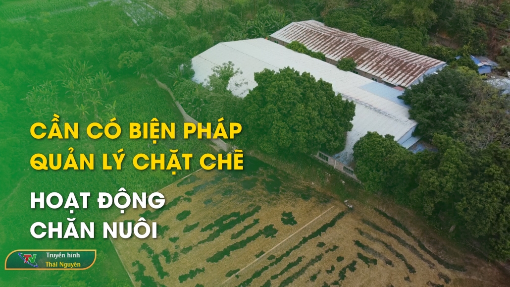 Cần có biện pháp quản lý chặt chẽ hoạt động chăn nuôi - Hộp thư truyền hình 3/12/2024