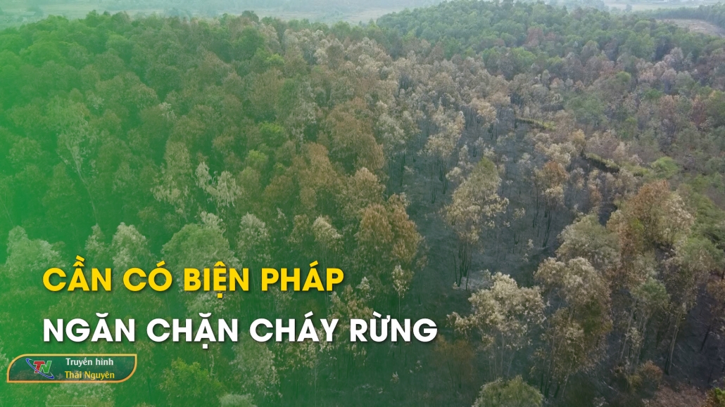 Cần có biện pháp ngăn chặn cháy rừng