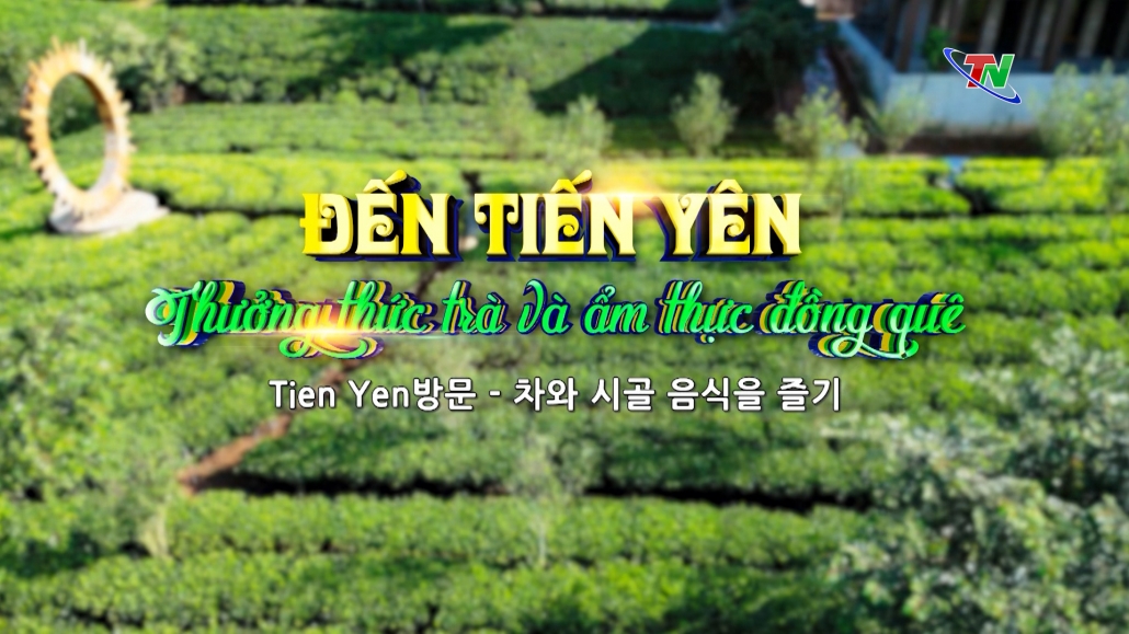 Đến Tiến Yên thưởng thức Trà và ẩm thực đồng quê – Thái Nguyên Corner 7/12/2024