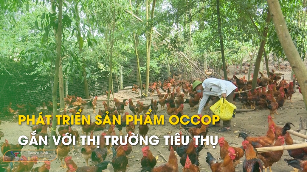 Phát triển sản phẩm ocop gắn với thị trường tiêu thụ