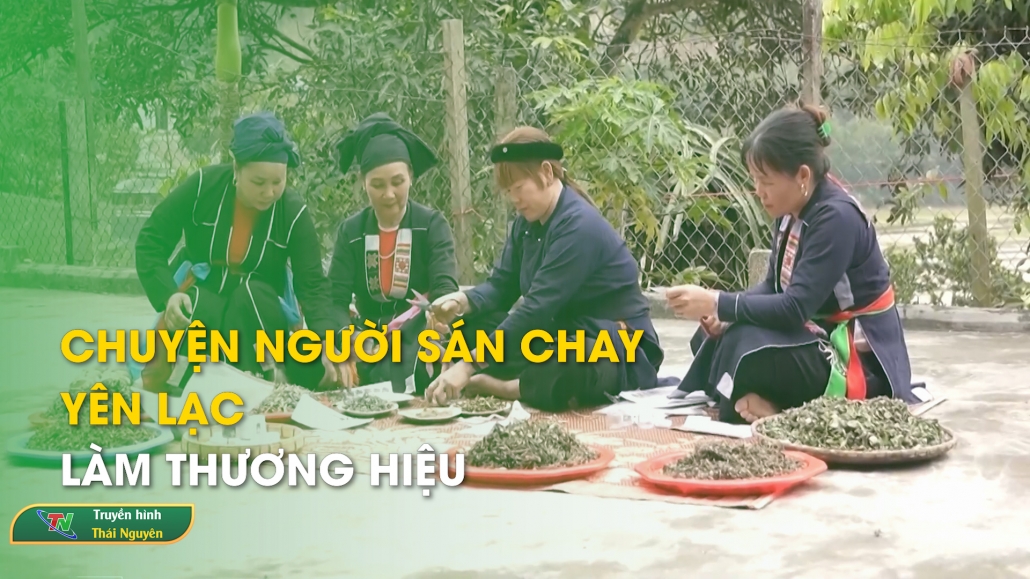 Chuyện người Sán Chay Yên Lạc làm thương hiệu