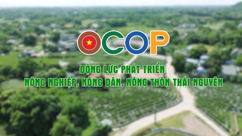 Ocop động lực phát triển nông nghiệp, nông dân, nông thôn Thái Nguyên