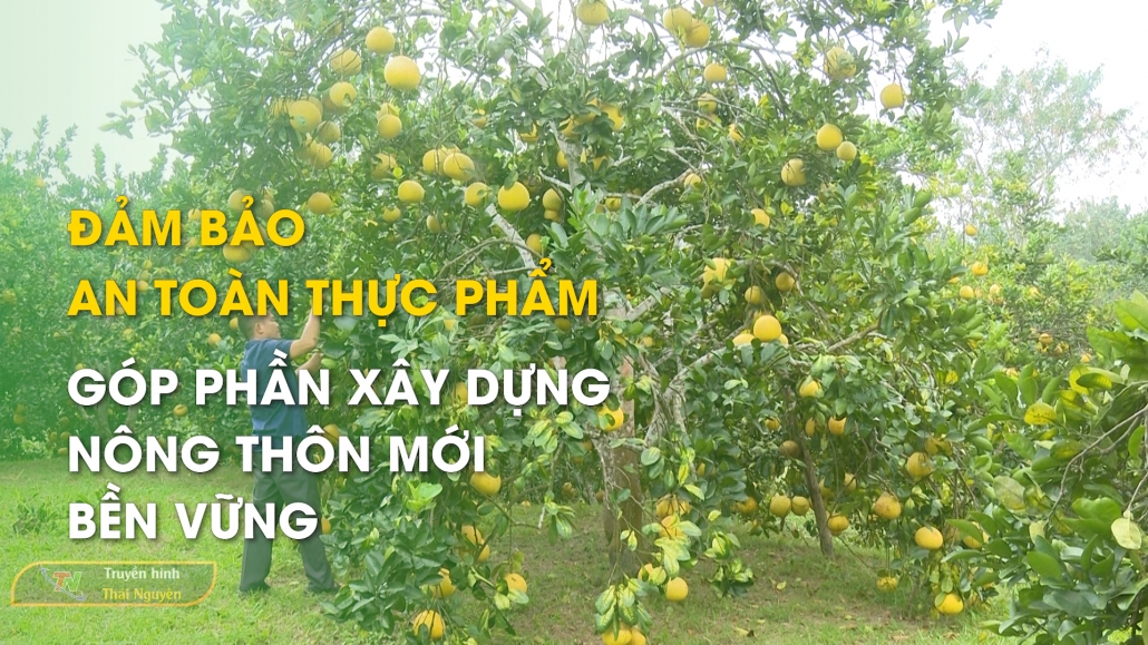 Đảm bảo an toàn thực phẩm góp phần xây dựng nông thôn mới bền vững