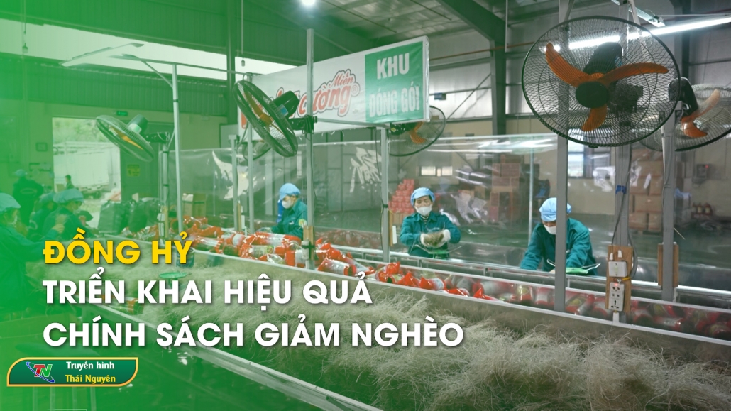 Đồng Hỷ triển khai hiệu quả chính sách giảm nghèo