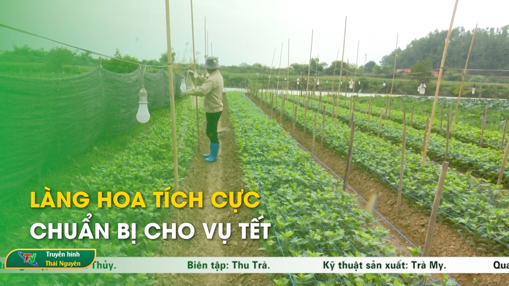 Làng hoa tích cực chuẩn bị cho vụ Tết