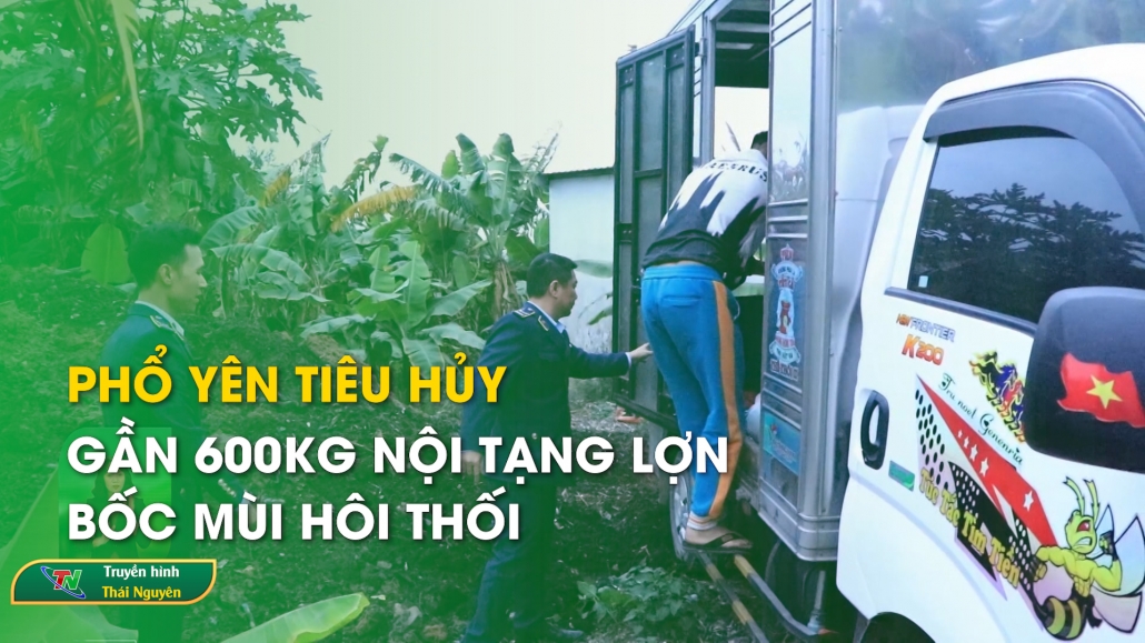 Phổ Yên tiêu hủy gần 600kg nội tạng lợn bốc mùi hôi thối