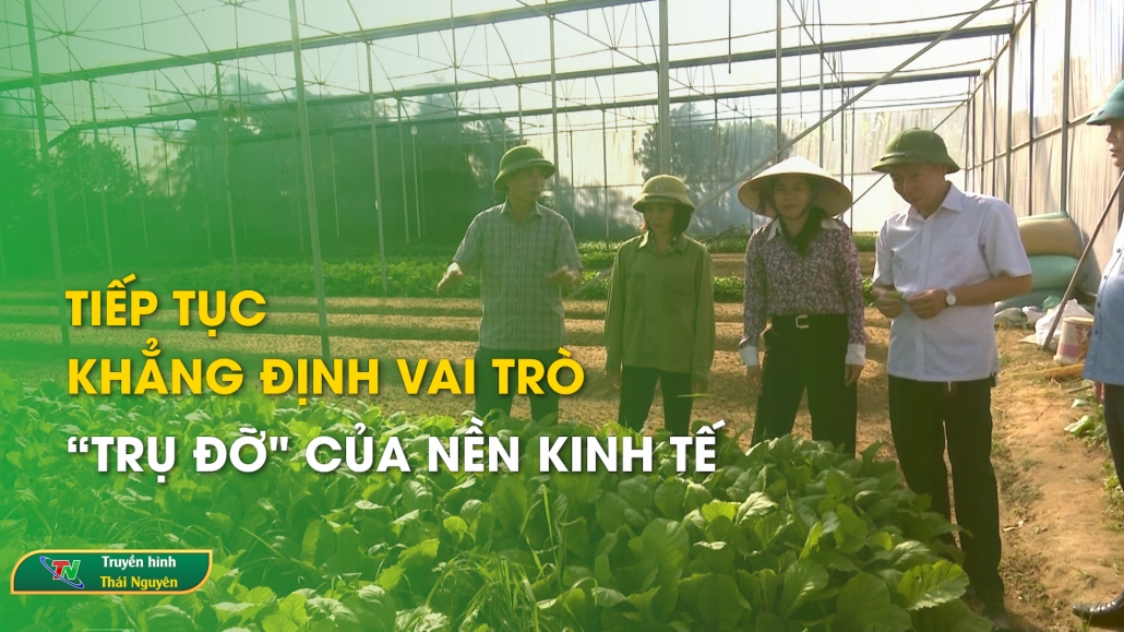 Tiếp tục khẳng định vai trò “trụ đỡ" của nền kinh tế