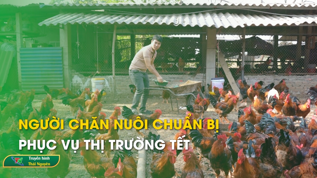 Người chăn nuôi chuẩn bị phục vụ thị trường tết