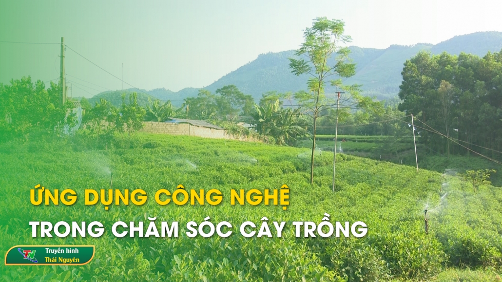 Ứng dụng công nghệ trong chăm sóc cây trồng