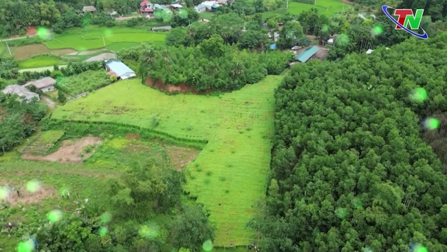 7/9/2024 Cửa sổ Thái Nguyên Mướp đắng rừng – “Thuốc đắng dã tật”