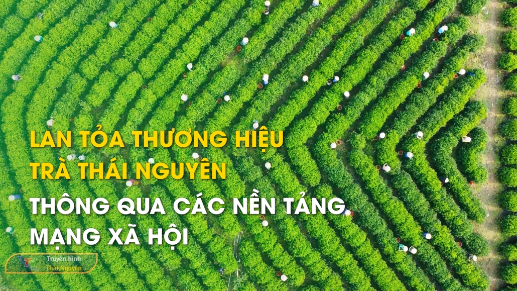 Lan tỏa thương hiệu Trà Thái Nguyên thông qua các nền tảng mạng xã hội