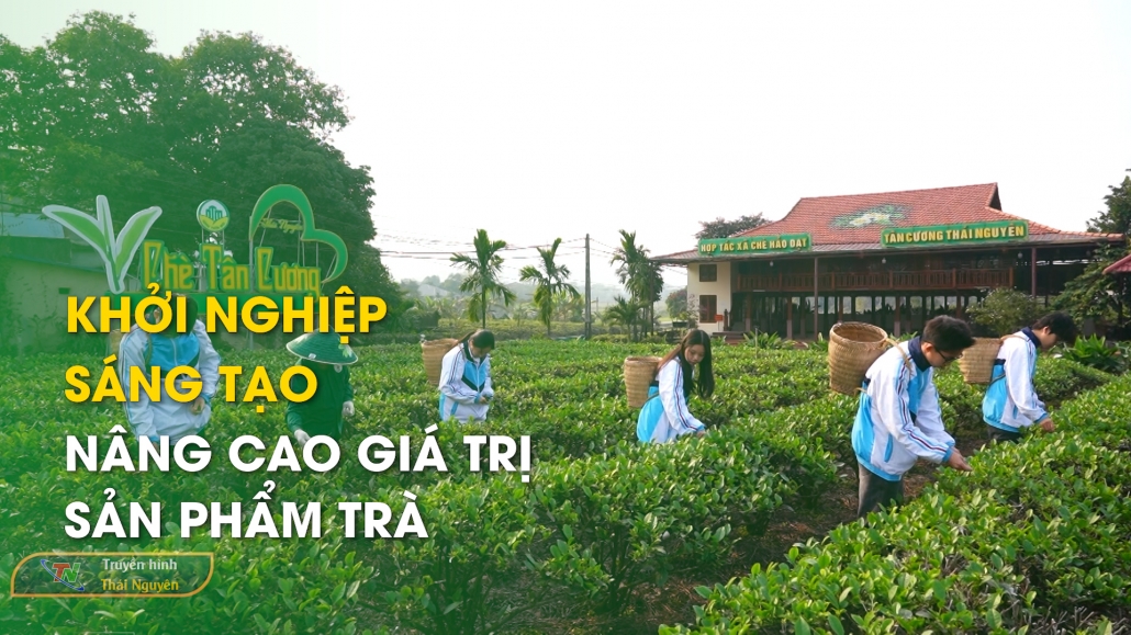 Khởi nghiệp sáng tạo nâng cao giá trị sản phẩm Trà