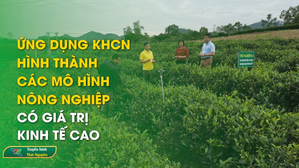 Ứng dụng KHCN, hình thành các mô hình nông nghiệp có giá trị kinh tế cao